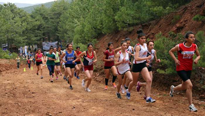 Dağ Koşusu Şampiyonası statüsü